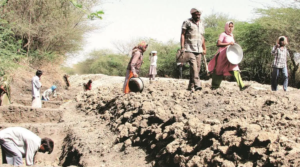 States that don’t appoint MGNREGA ombudsperson in at least 80% districts won’t get funds